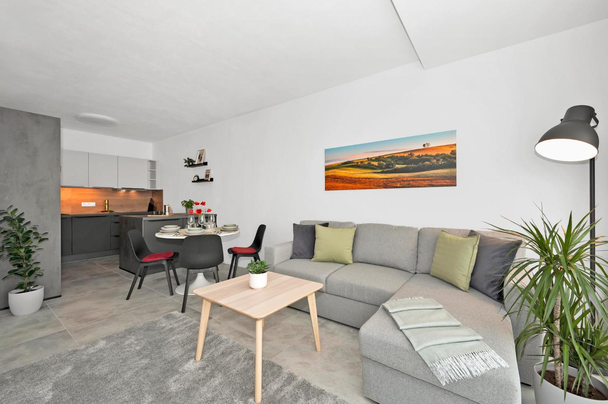 Fully Equipped Apartments With Terraces, Free Garage Parking, Netflix & Ac - By Apartmany Slapanice Cz Екстериор снимка